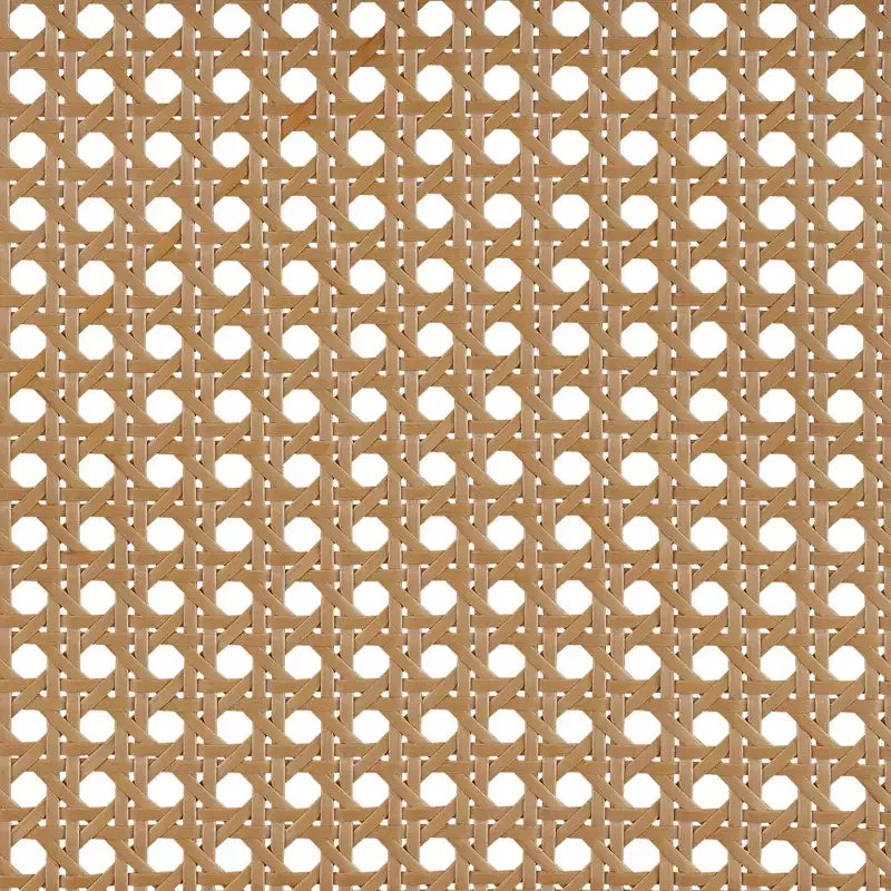 Armario de Almacenamiento Boho de Ratán Tejido con 2 Puertas y Estante Marrón y Beige
