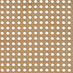 Armario de Almacenamiento Boho de Ratán Tejido con 2 Puertas y Estante Marrón y Beige